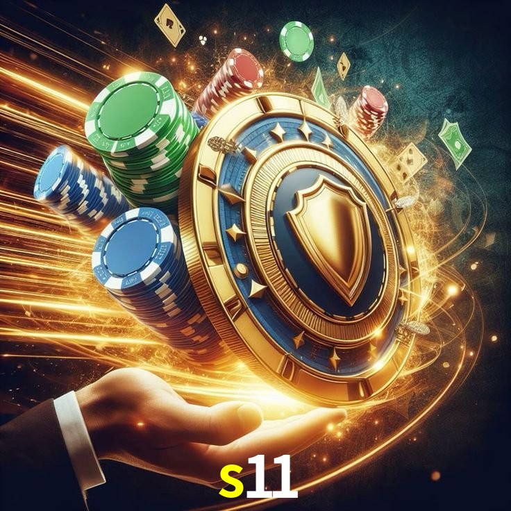 s11